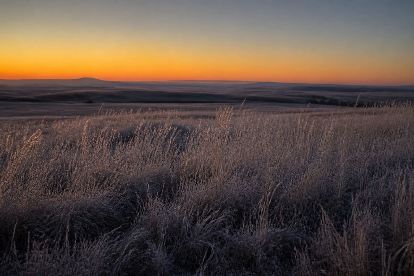 Dawn over an open Wyoming prairie, first gold light on frost