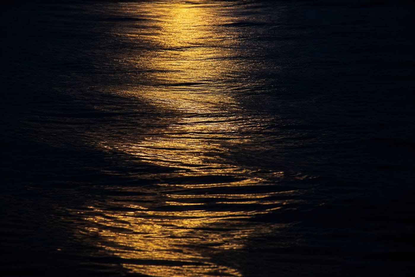 Still dark water with a single gold reflection